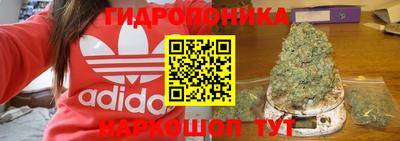 шишки Кунгур